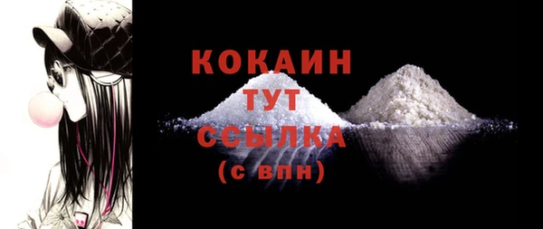 дмт Дмитриев