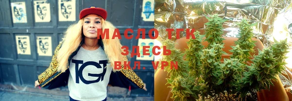 сатива Ахтубинск