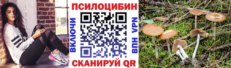 маркетплейс клад цены наркотик Енисейск Псилоцибиновые грибы мухоморы